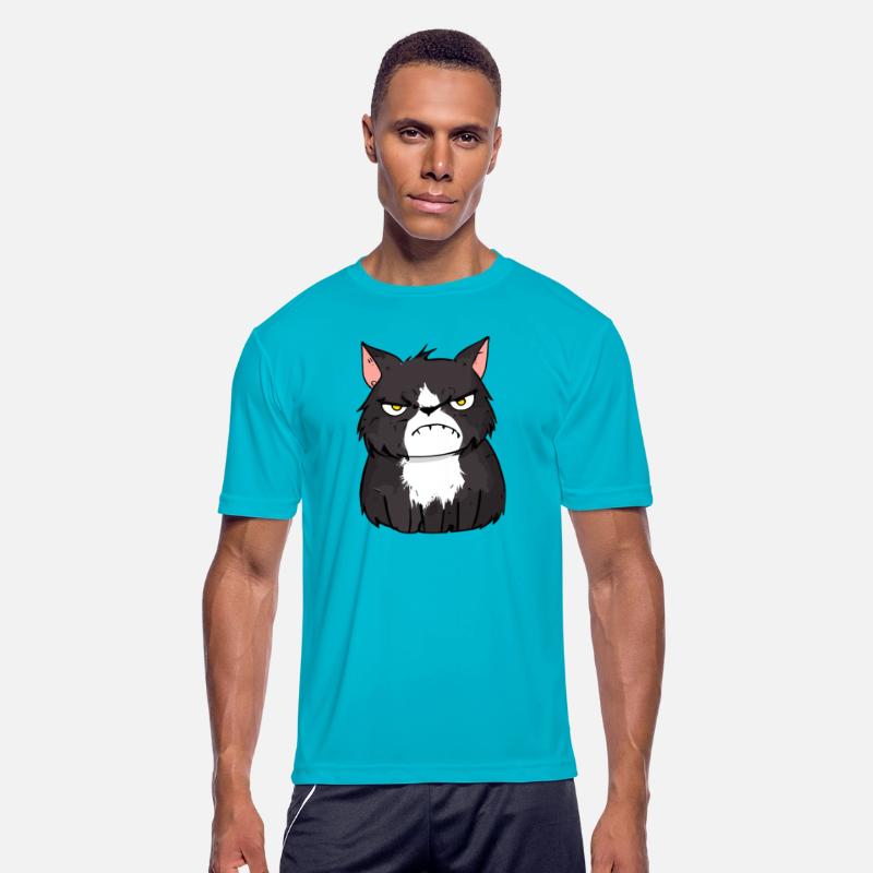 Grumpy Black and White Cat