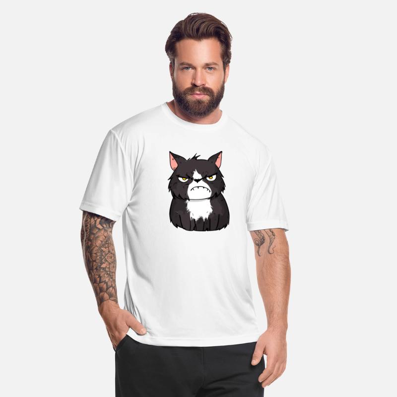 Grumpy Black and White Cat