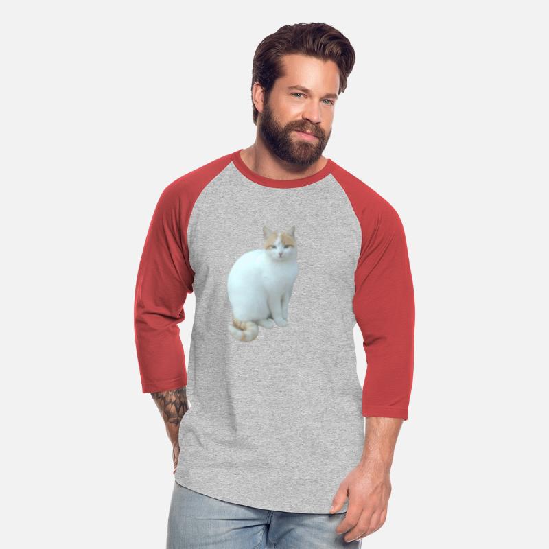 Meme cat