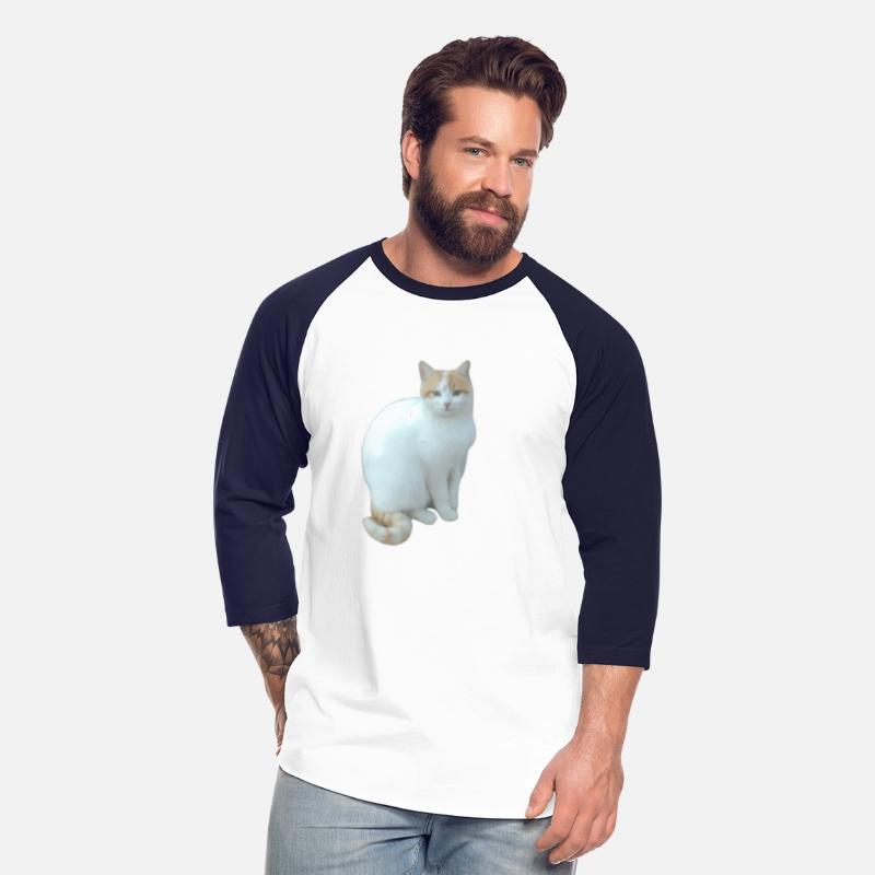 Meme cat