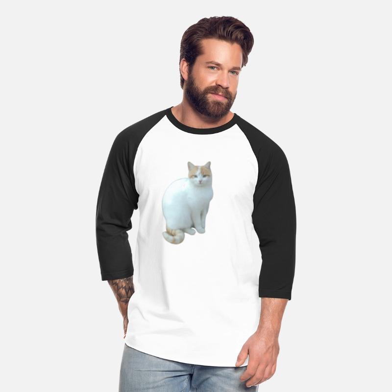 Meme cat