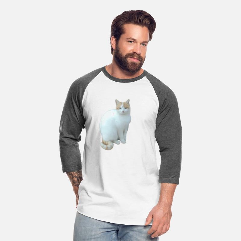 Meme cat