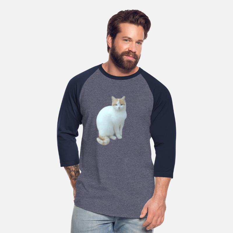 Meme cat