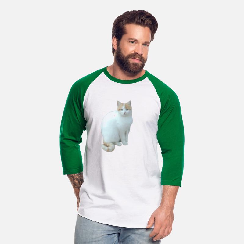 Meme cat
