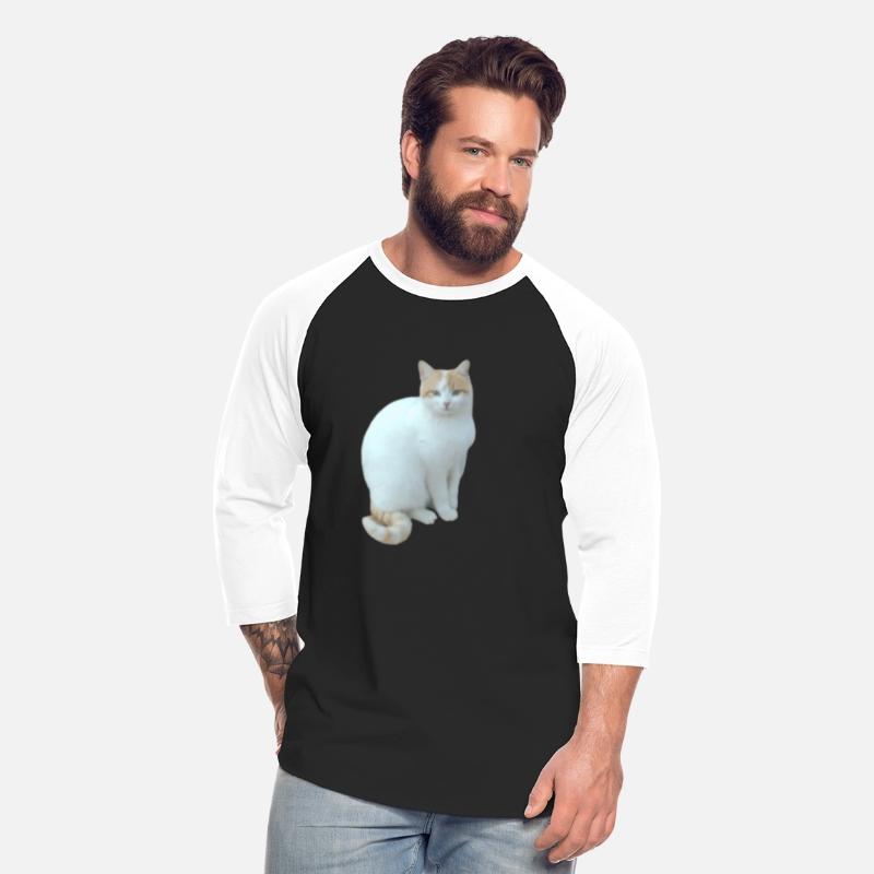 Meme cat