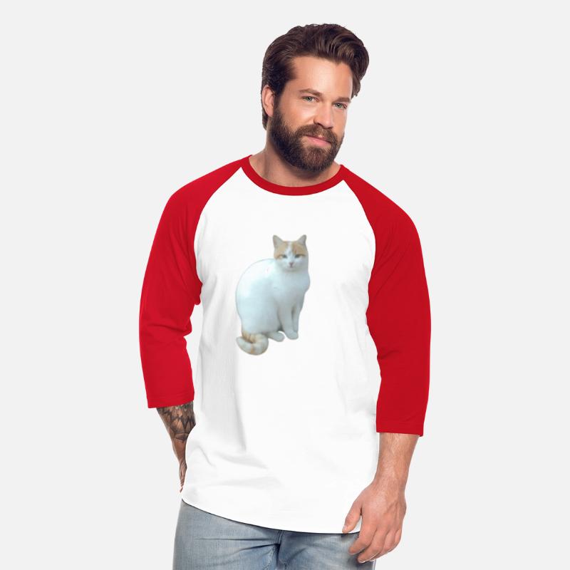 Meme cat