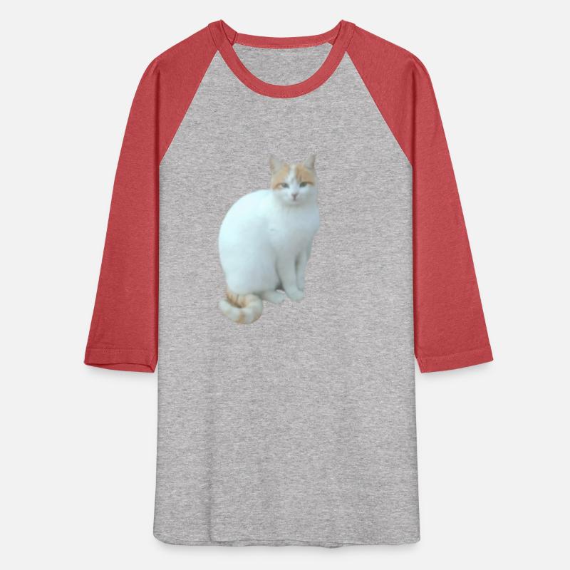 Meme cat