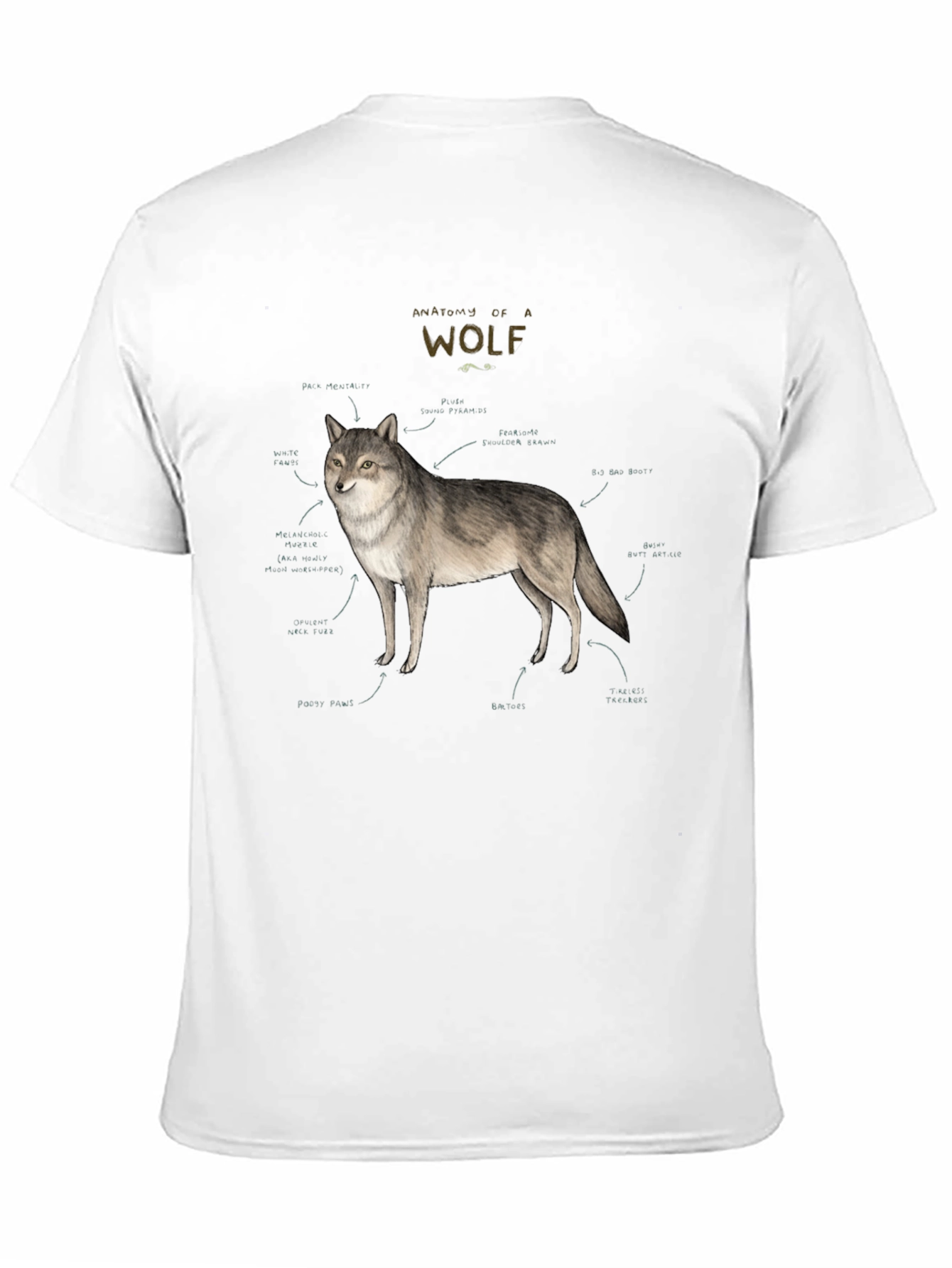 Anatomy of a Wolf Graphic T-Shirt