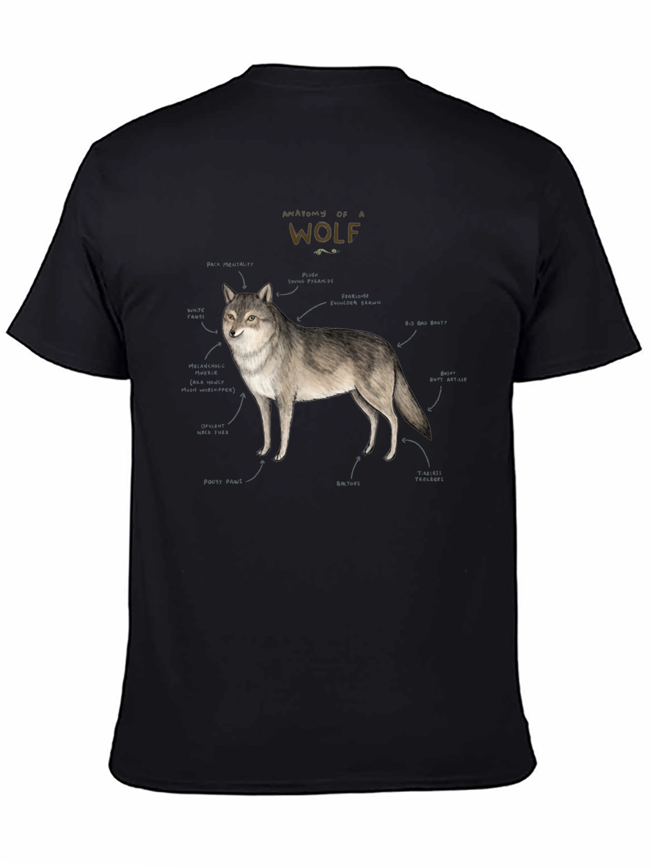Anatomy of a Wolf Graphic T-Shirt