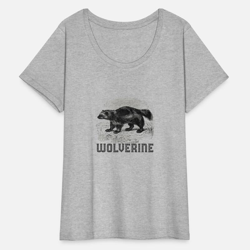 Wolverine Wild Animal unk Bear Mammal Habitat