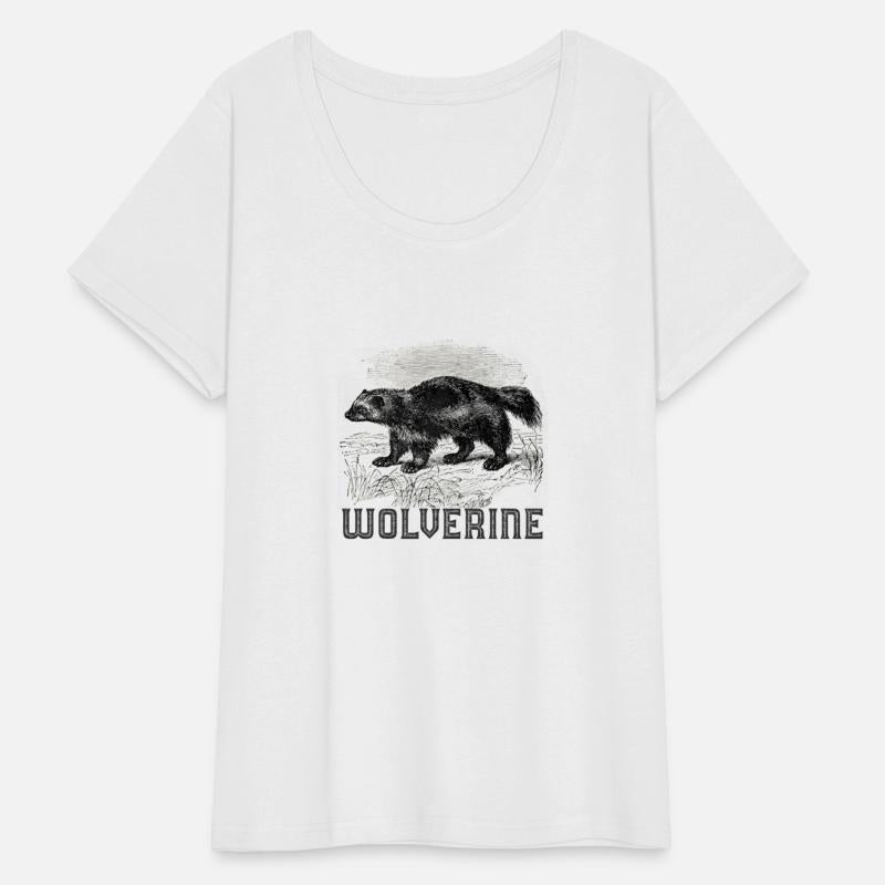 Wolverine Wild Animal unk Bear Mammal Habitat